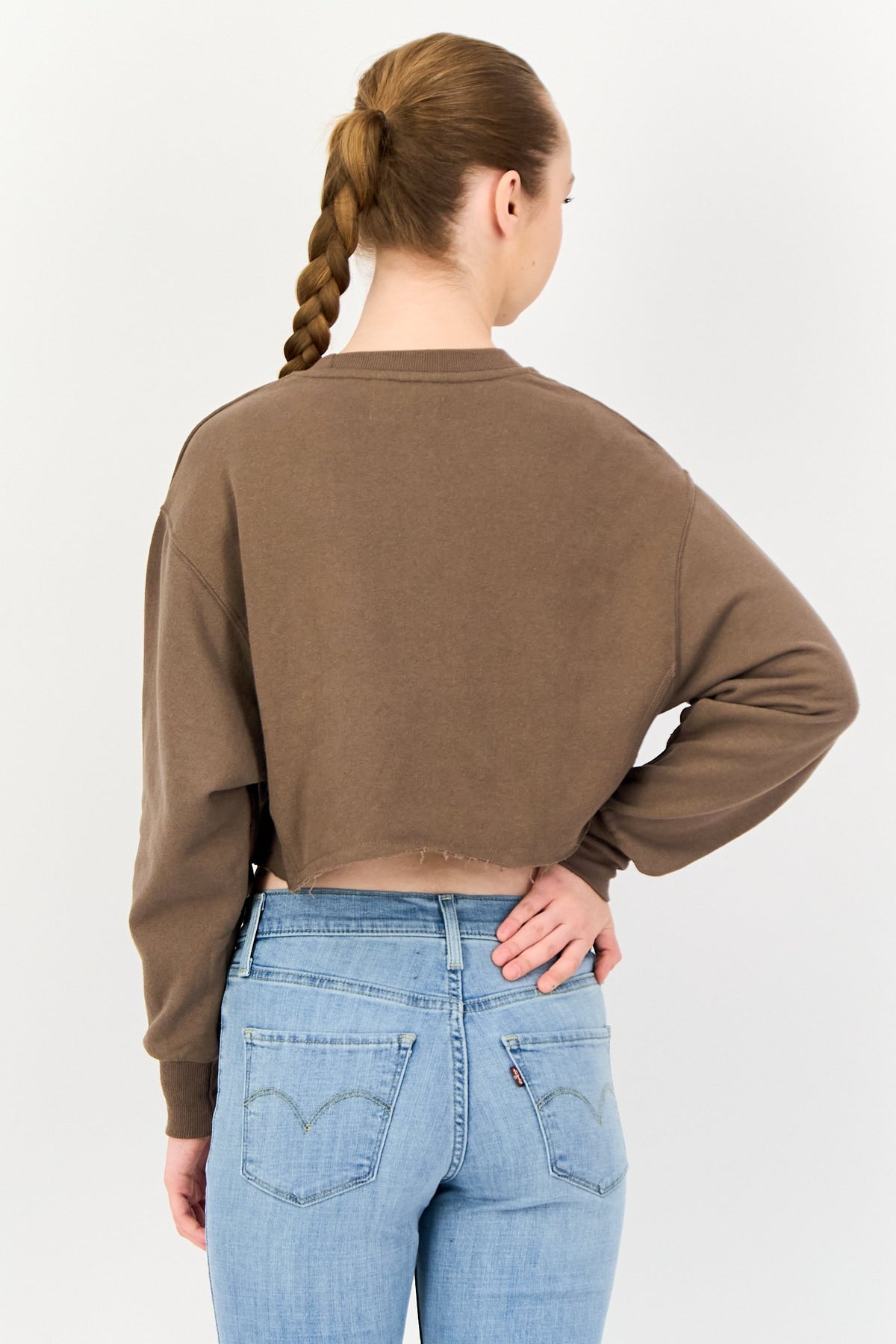 Crew Neck Long Sleeve Plain Crop Sweatshirt